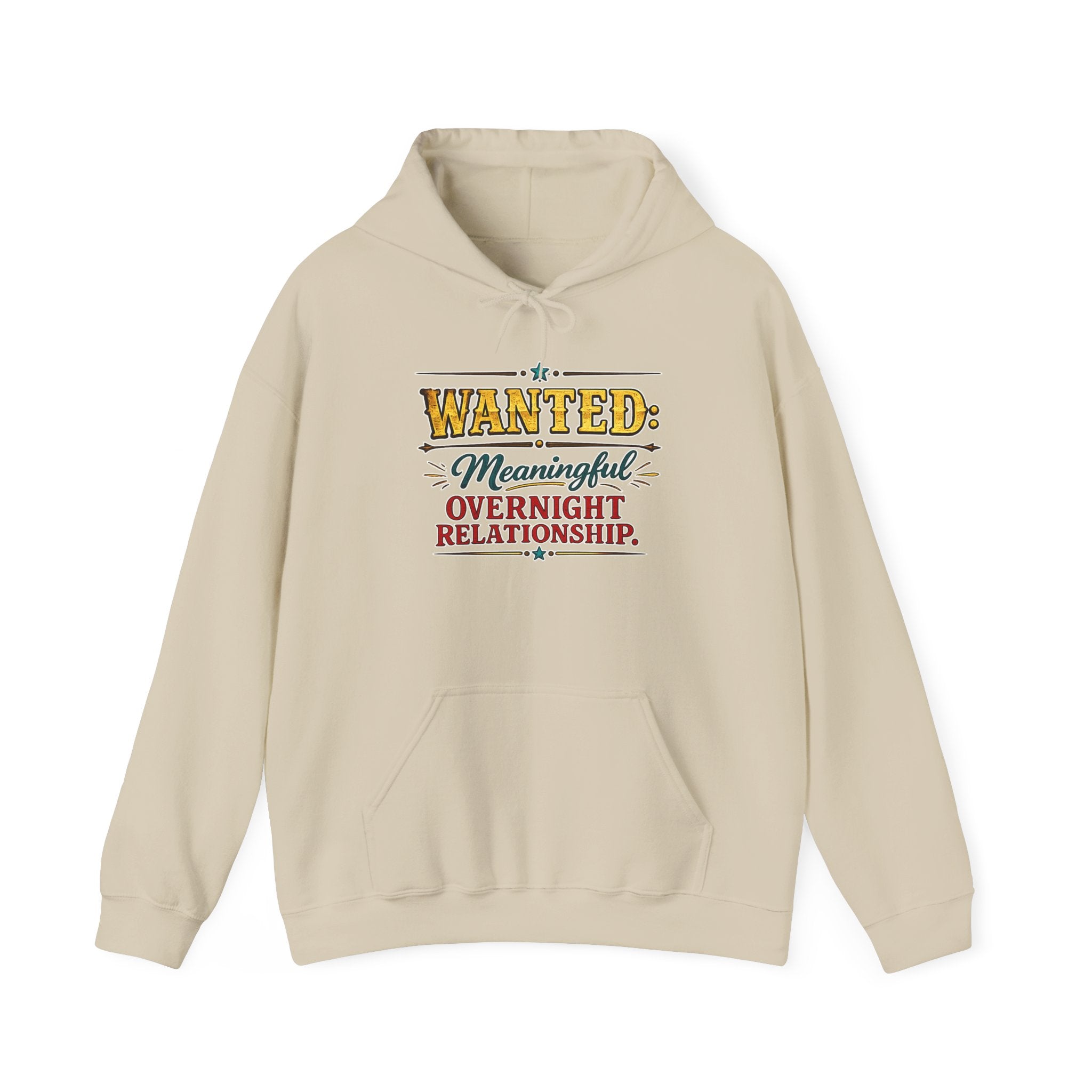 Wanted Meaningful Overnight Relationship | Hoodie