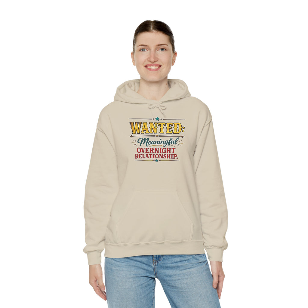 Wanted Meaningful Overnight Relationship | Hoodie