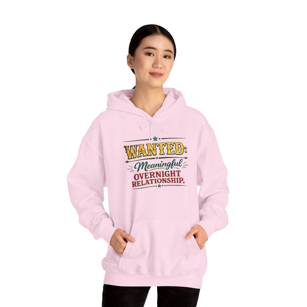 Wanted Meaningful Overnight Relationship | Hoodie