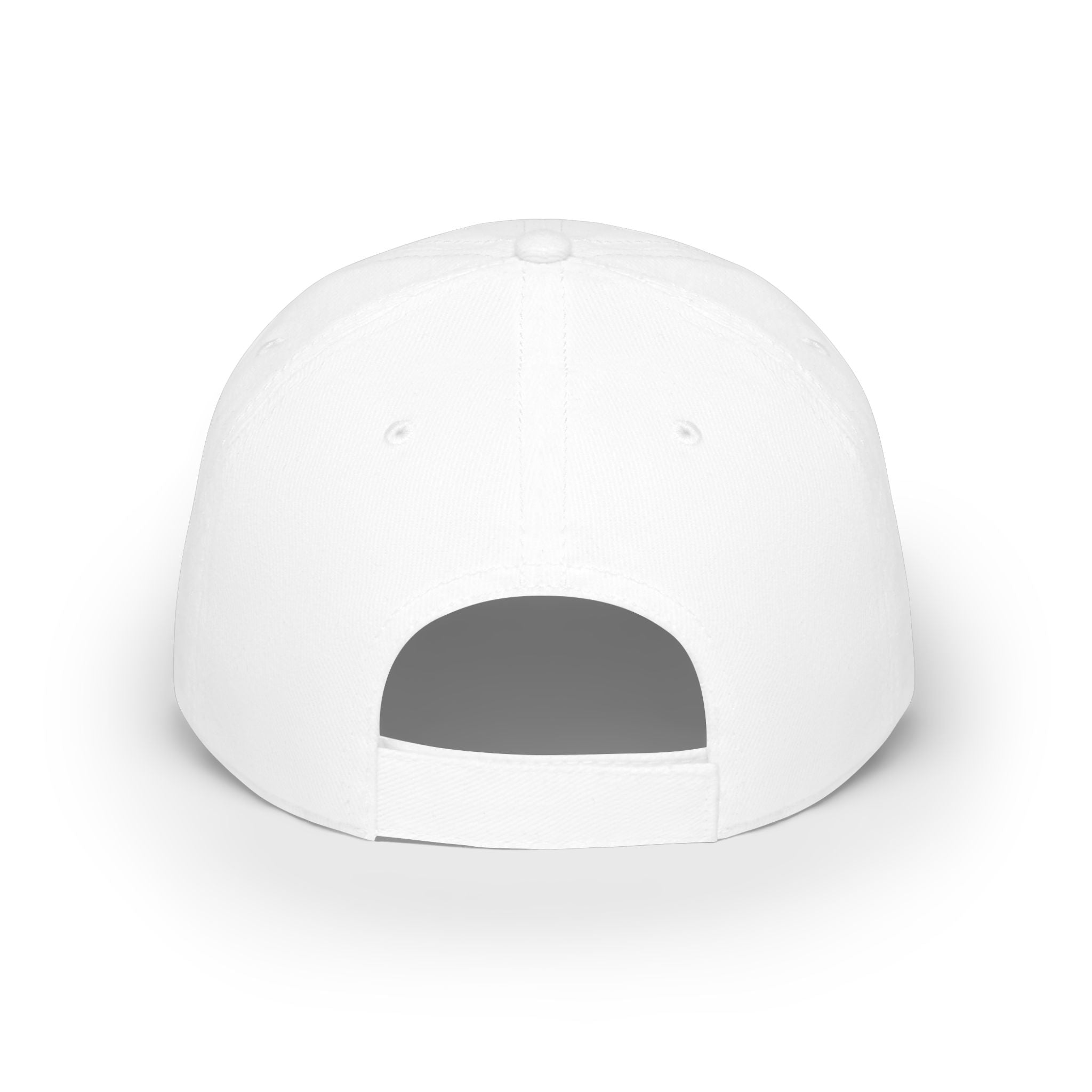 Growing Up Is a Scam | Ball Cap | Embroidered Baseball Hat, Funny Saying