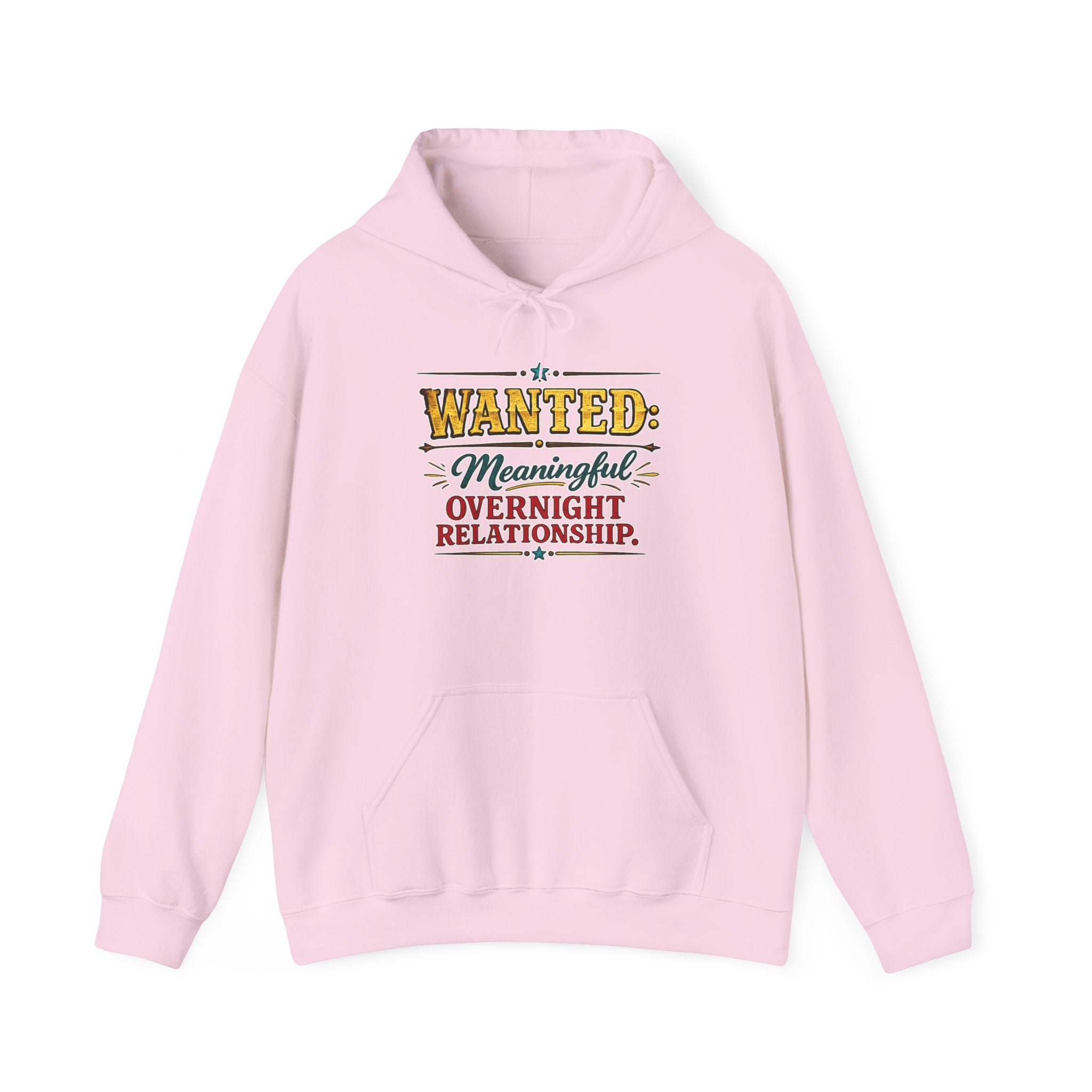 Wanted Meaningful Overnight Relationship | Hoodie
